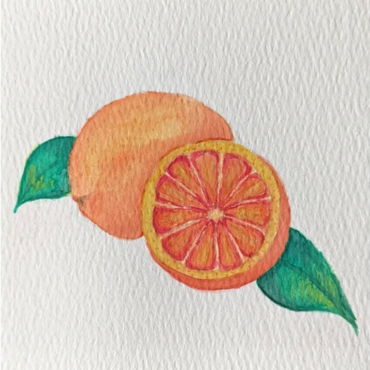 Watercolor painting of oranges